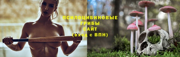a pvp Новодвинск