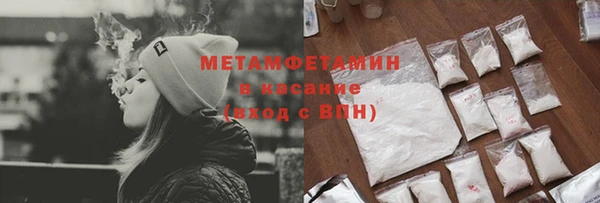 крисы Новозыбков