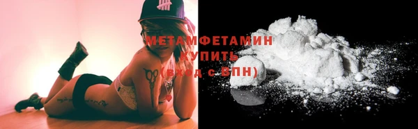 крисы Новозыбков