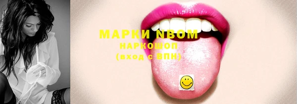 крисы Новозыбков