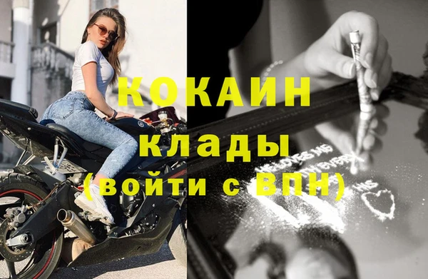 крисы Новозыбков