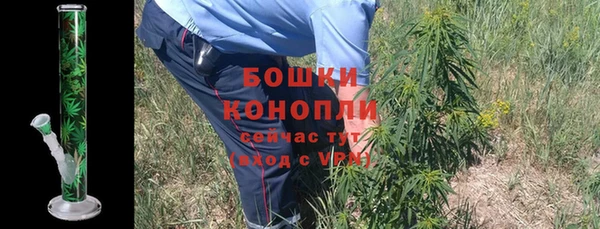 крисы Новозыбков