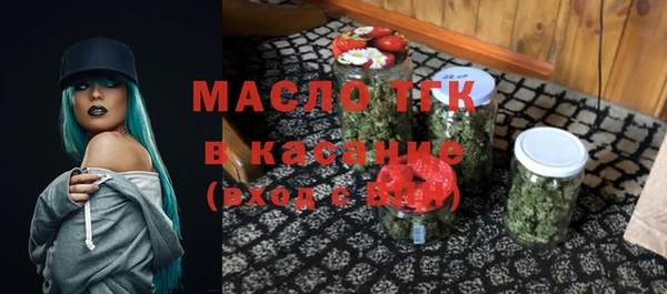 крисы Новозыбков