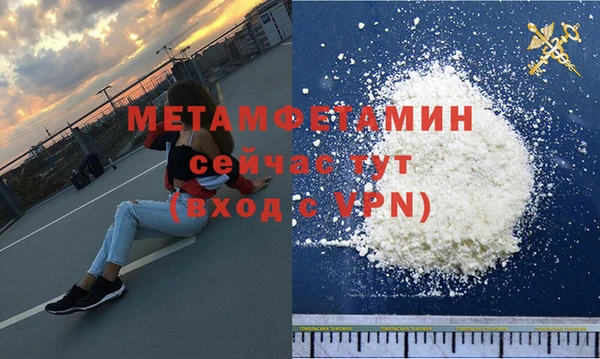 крисы Новозыбков