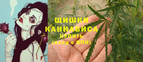крисы Новозыбков