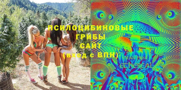 2c-b Ивангород