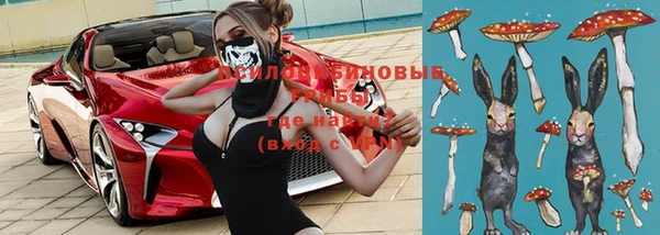 a pvp Новодвинск