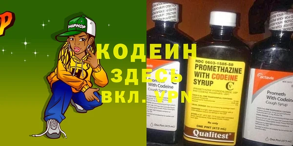 крисы Новозыбков