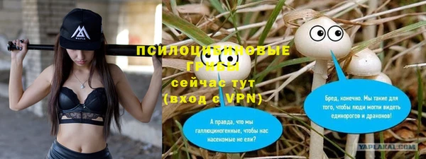 соль курить ск Ивантеевка