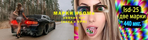 a pvp Новодвинск